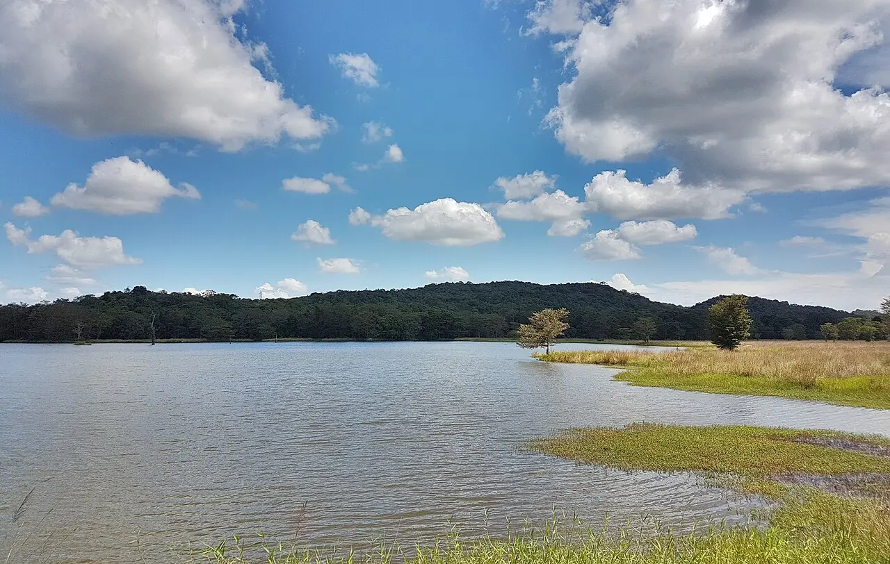 Kaudulla National Park landscape and wildlife in Sri Lanka